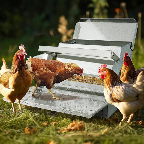 . Comedero Automático Para Pollos Sin Derrames Con Tapa