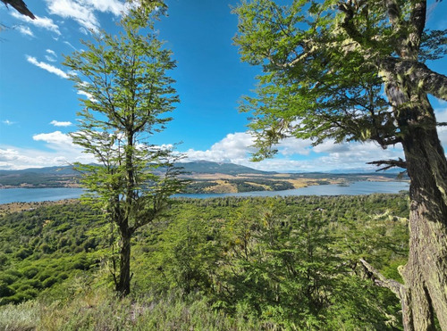 Se Vende Campo De 60 Hectáreas En El Sector Lago Pollux