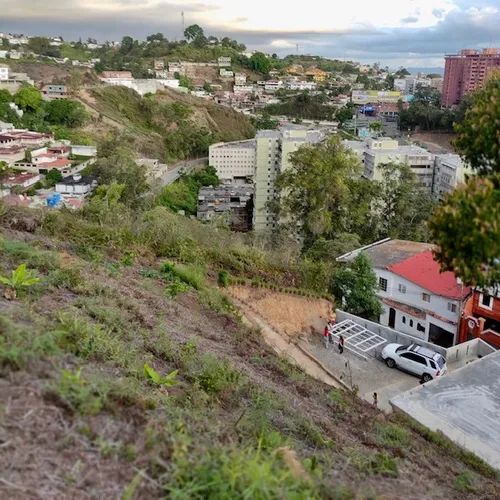 Colinas De Carrizal