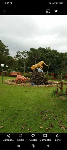 Terreno Residencial Maria Andrade