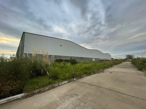 Imagen 12 de 30 de Fracción Industrial 26 Ha. Galpón 12.800 M² Cub. - Carlos Spegazzini