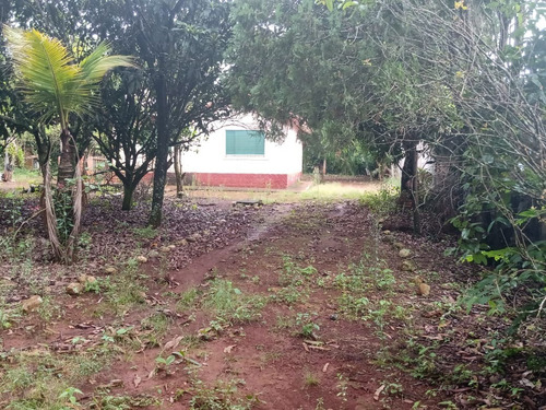 Chácara 1,1/2 Alqueire 36000m2 Casa Simples,100mts Do Asfalto,37 Km De Itapetininga,localização Nobre - Ch00053 - 68982171