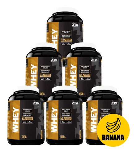 Combo Revenda Whey Protein - 6x Potes 900g + Lucro