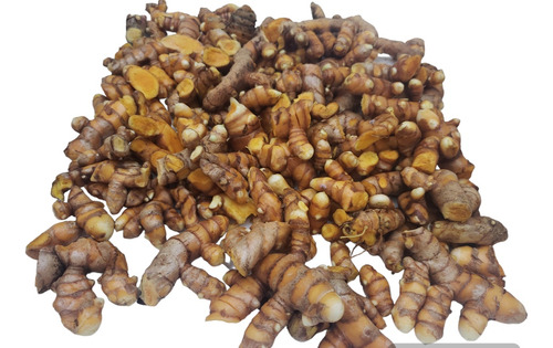 Açafrão Orgânico Fresco- Curcuma 2 Kg
