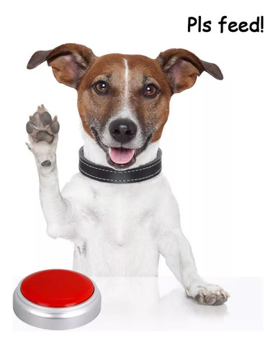 Alto-falante Interativo Para Animais De Estimação,