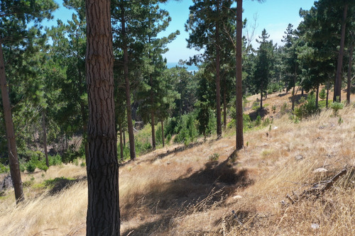 Excelente Terreno En Boyeruca