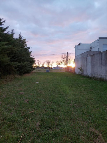 Imagen 2 de 5 de Terreno A La Venta En Roldán Punta Chacra
