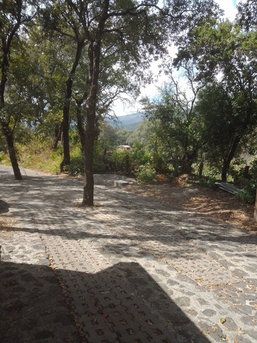 Lindo Concepto En Privada Zona Boscosa Estrene