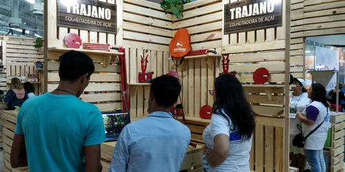 Colheitadeira De Açaí Trajano - Kit C/ 08 Hastes