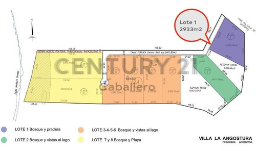 Imagen 4 de 29 de Exclusivo Lote V. La Angostura C/acceso Al Lago Nahuel Huapi Y Muelle, Apto 2 Uf