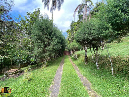 Imagem 16 de 30 de Chácara À Venda 4.600m2 Terreno, Casa 485m2 Piscina Estrada Julio Rocha Bairro Do Monjolo Em Juquitiba - Sp - Ch07787 - 70289503