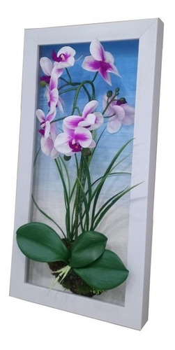 Orquídeas Sobresalen Del Cuadro Con Marco Blanco 26 X 50 Cm