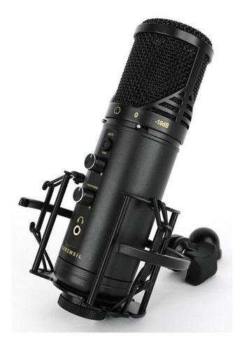 Imagen 1 de 4 de Microfono Condenser Usb Pc Profesional Kurzweil Km1 Cuotas 