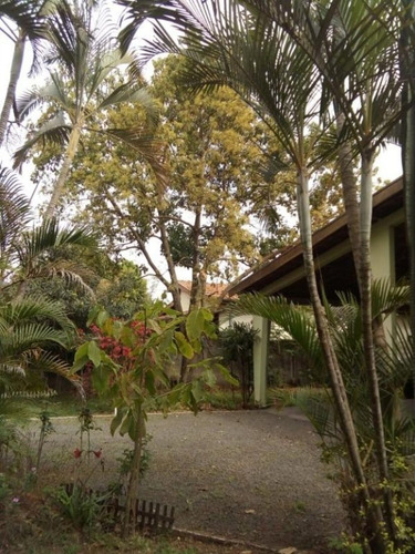 Imagem 20 de 23 de Chácara Em Chácara Cruzeiro Do Sul, Sumaré/sp De 1066m² 3 Quartos À Venda Por R$ 590.000,00 - Ch613746-s