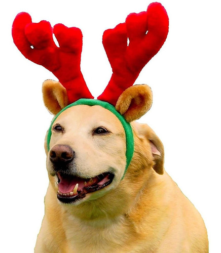 Outward Hound Holiday - Accesorios Para Perros, Color Marro