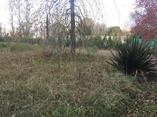 Imagen 2 de 3 de Lote De Terreno