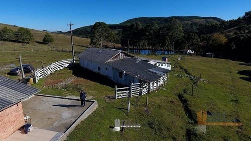 Imagem 4 de 22 de Chácara À Venda, 45000 M² Por R$ 529.900,00 - Zona Rural - Caxias Do Sul/rs - Ch0003