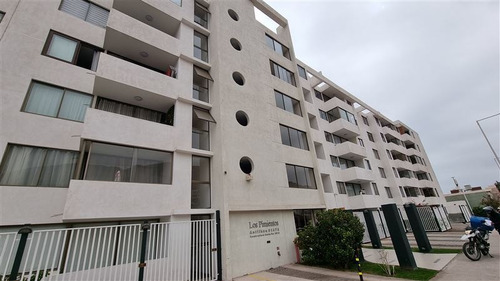 Departamento En Venta De 1 Dorm. En Antofagasta