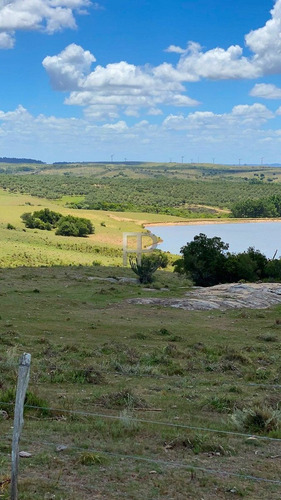 Imagen 7 de 13 de Campo En Venta Garzon 18 Has #1699