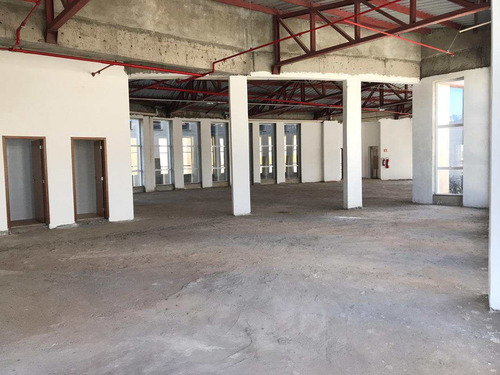 Imagem 7 de 18 de Conjunto Comercial, Jardim Califórnia, Ribeirão Preto - R$ 12 Mi, Cod: 1722061 - V1722061