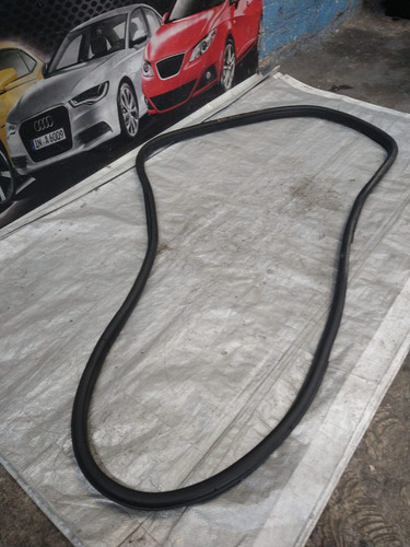 Goma Puerta Trasera Izquierda Fiat Pulse 2023 Original (Usado)