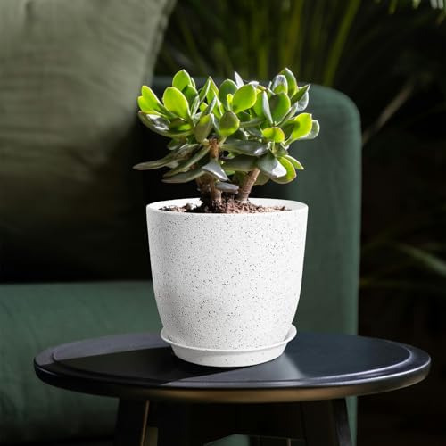 Conjunto De 4 Macetas Para Exteriores E Interiores, Macetero