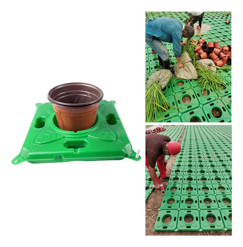 El Jardín Flotante Artificial De Planta La Cama Flotante