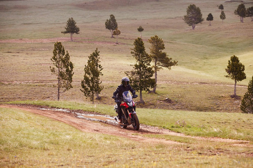 Imagen 7 de 19 de Honda Cb 500x - 2023