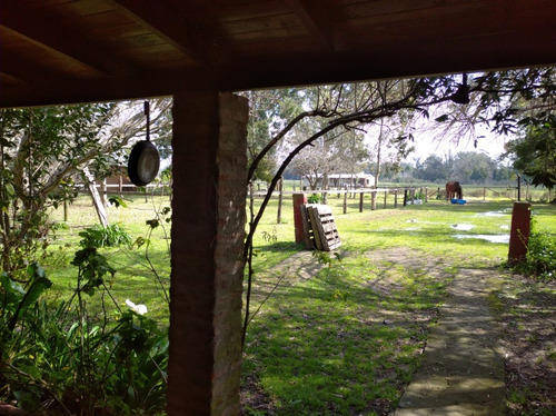 Imagen 6 de 30 de Lindísimo Campo En Veronica, Punta Indio