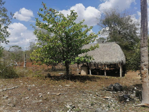 Venta De Terreno Cerca De La Ciudad De Tizimín