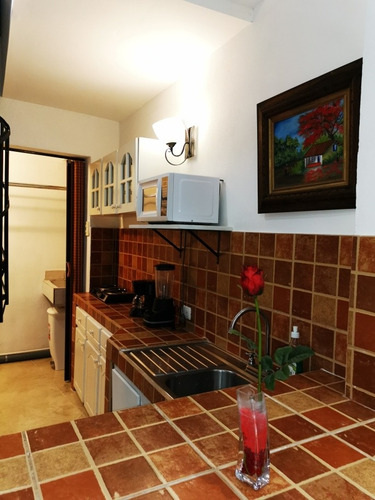 Imagen 2 de 11 de Apartamento Amueblado Tibás, Sin Parqueo
