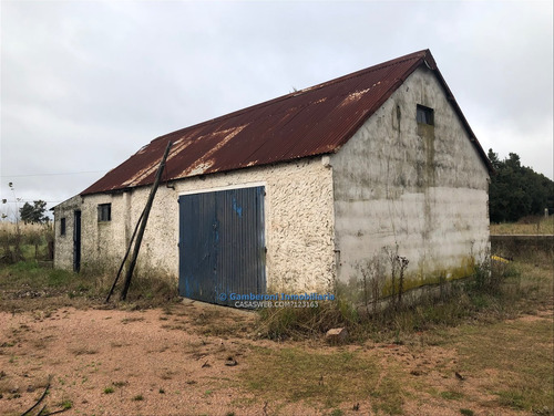 Imagen 4 de 12 de Chacra En Venta En Abayubá.