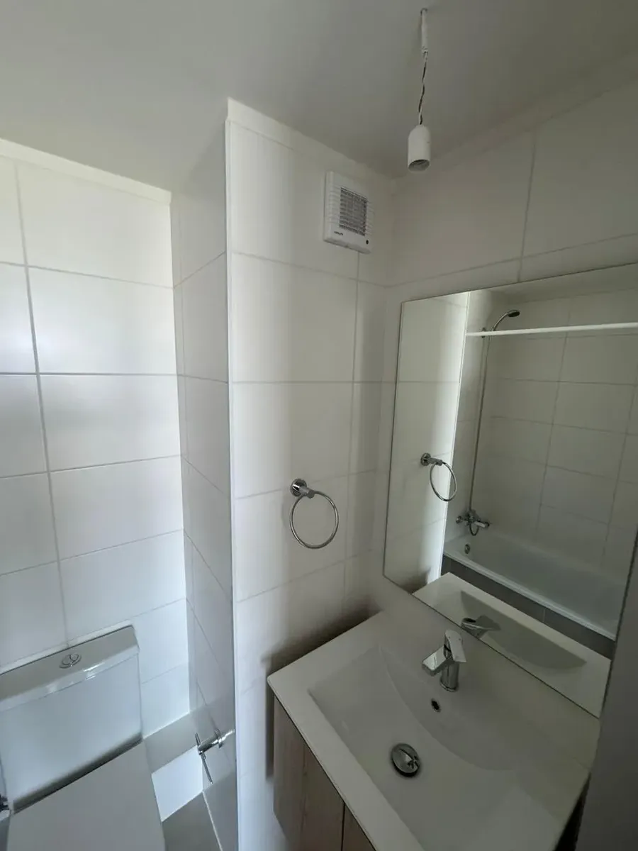 Imagen 4 de 26 de Departamento Seminuevo Con Arrendatarios En Venta