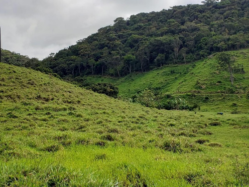 Imagem 4 de 15 de Fazenda Para Venda Em Canhotinho, Zona Rural - In - 0010_1-2014430