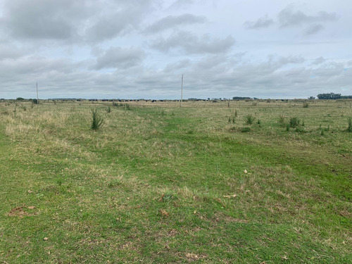 Imagen 8 de 12 de Campo En Venta En Punta Indio - Dacal Bienes Raices