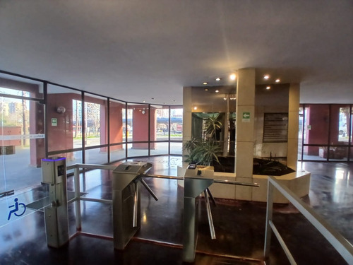 Excelentes Oficinas Panta Libre De 359 M2 Recién Remodelada