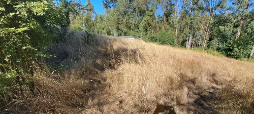 Tu Refugio Soñado A 35 Km De Temuco
