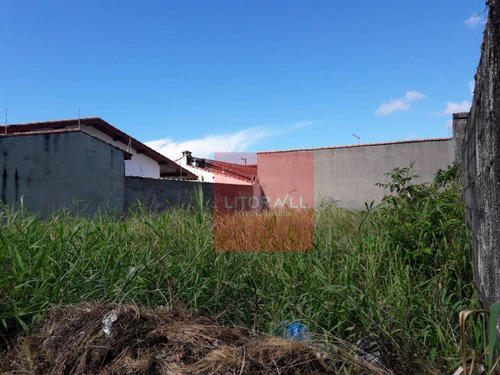 Imagem 3 de 4 de Terreno À Venda, 300 M² Por R$ 140.000,00 - Jardim Cibratel - Itanhaém/sp - Te0272