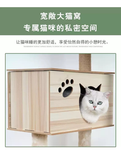 Imagen 5 de 6 de Rascador Gatos Tipo Torre 158 Cm Madera Casa Terciopelo