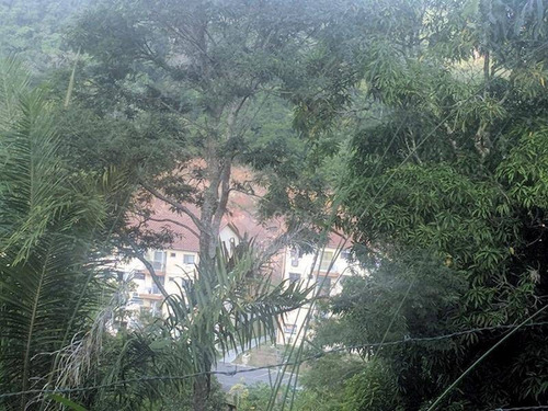 Imagem 6 de 6 de Ótima Área Plana, Em Meio À Muito Verde, 6210 M², R$ 500.000,00 - Rio Do Ouro - Niterói/rj - Te4312