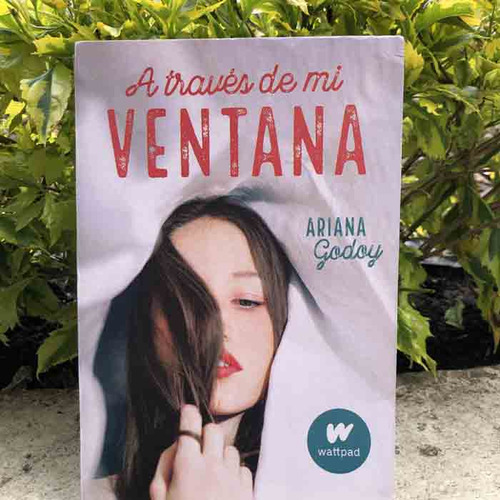 Libro A Través De Mi Ventana