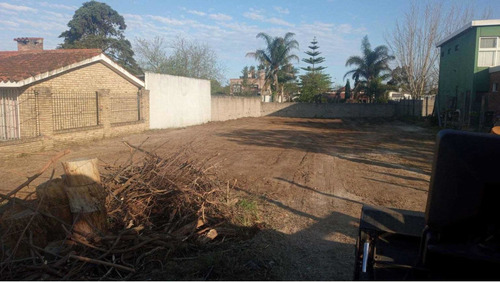 Imagen 7 de 10 de Limpieza Terrenos Retroexcavadora Nivelación Rellenos Pozos