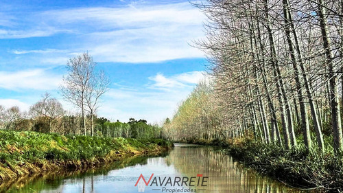 Lotes Con Amarras En Venta Barrio Náutico Albardon Escobar