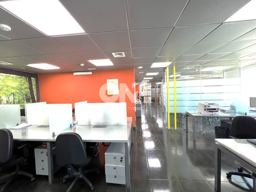 Moderna Oficina /4 Privados / Metro P. Valdivia/3 Est