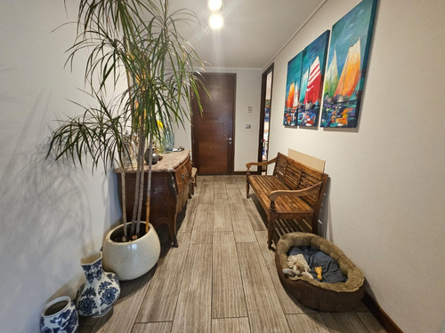 Portal La Dehesa, Calle Interior, Amplio