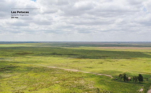 Campo De 255 Hectáreas En Las Petacas, Santa Fe