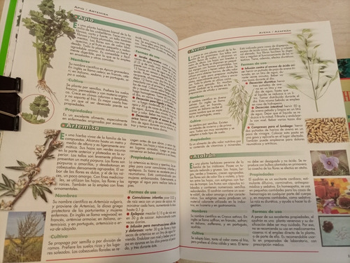 El Poder Curativo Y Sanador De Las Plantas Más Uno Afín. (Usado)