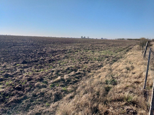 Imagen 13 de 13 de Vendo 90 Hectareas Ganaderas En Ucles, Cba