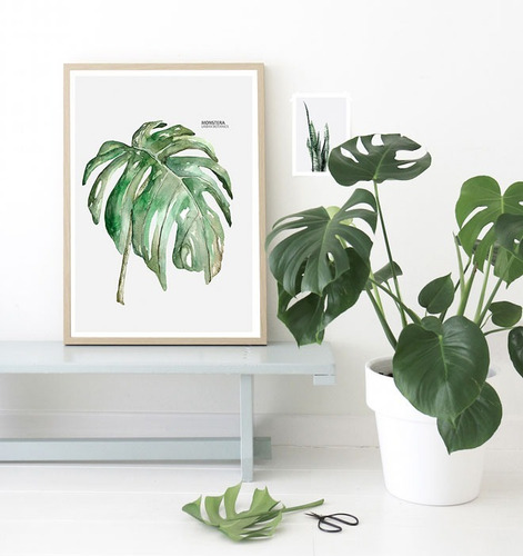 Cuadro Decoración Triple Plantas Hierbas 61x29 Cms