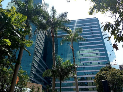 Piso De Oficina En Campo Alegre, Con Moderna Fachada De Cristal (joya Arquitectónica De Caracas)